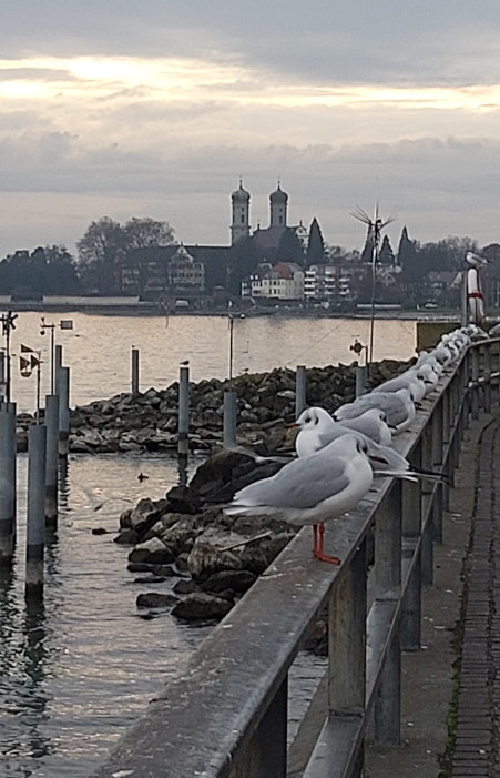 foto06.jpg