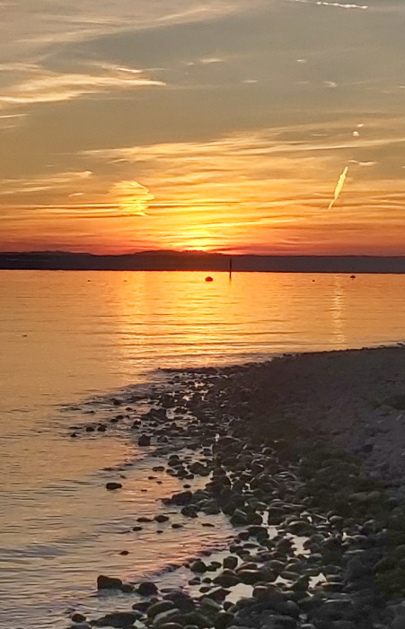 foto11.jpg